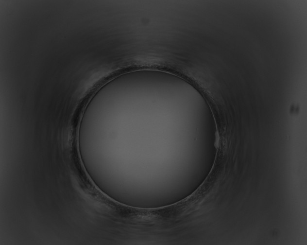 X0000093100583200710031501