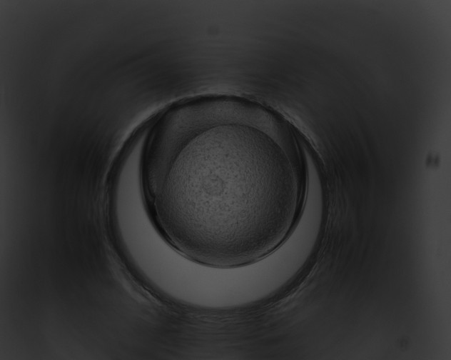 X0000093100584200710031501