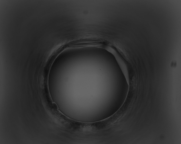 X0000093100587200710031501