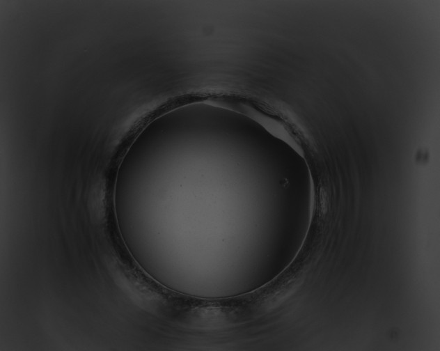 X0000093100588200710031501