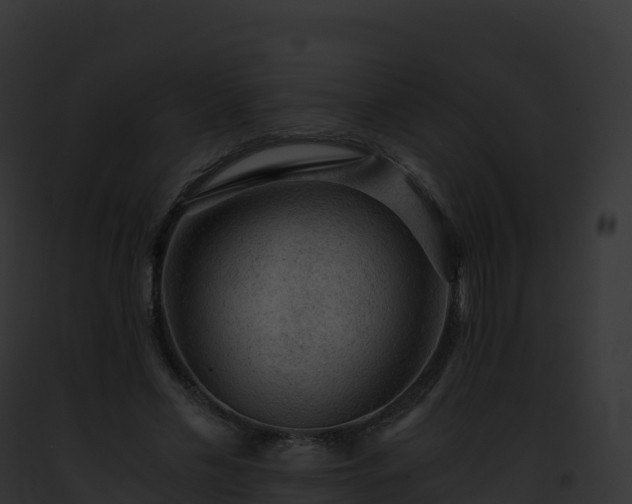 X0000093100589200710031501
