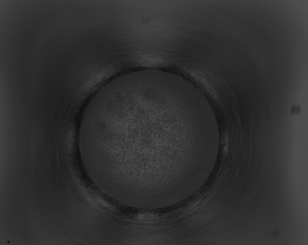 X0000093100591200710031501