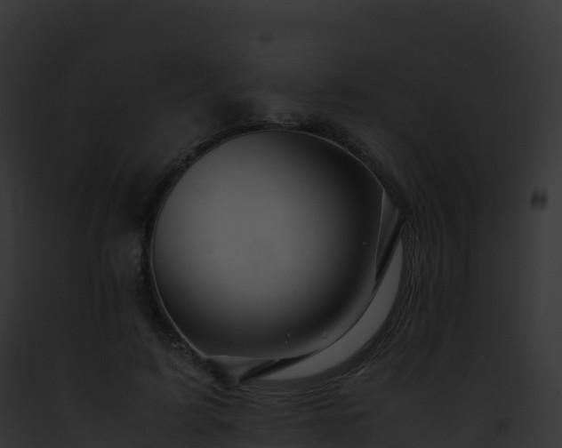 X0000093100595200710031501