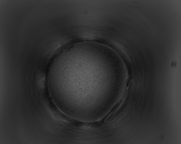 X0000093100596200710031501