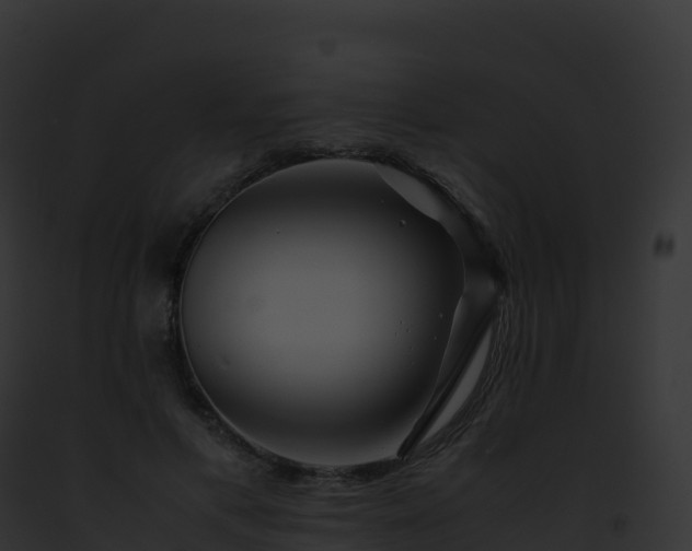 X0000093100597200710031501