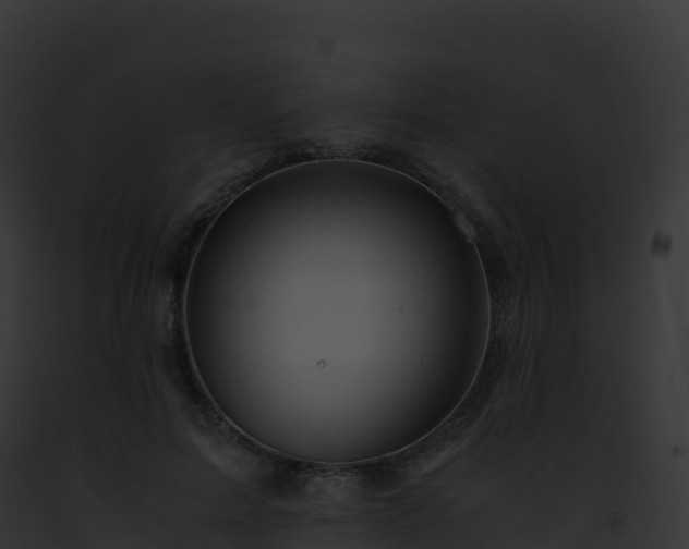 X0000093100599200710031501