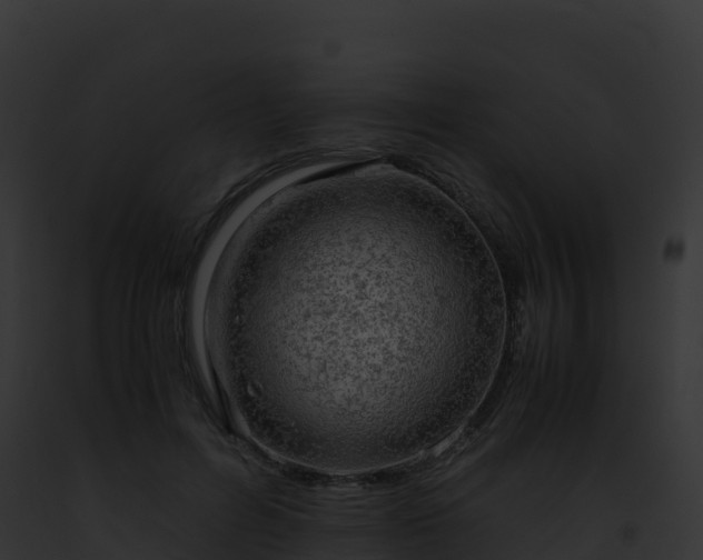 X0000093100600200710031501