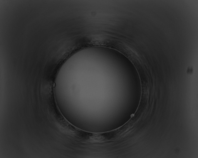X0000093100603200710031501