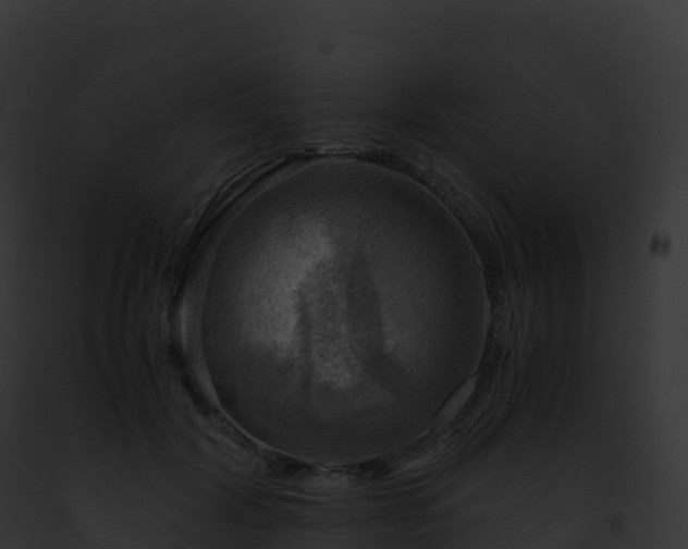 X0000093100604200710031501