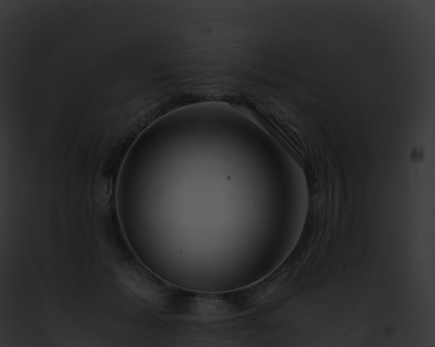 X0000093100605200710031501