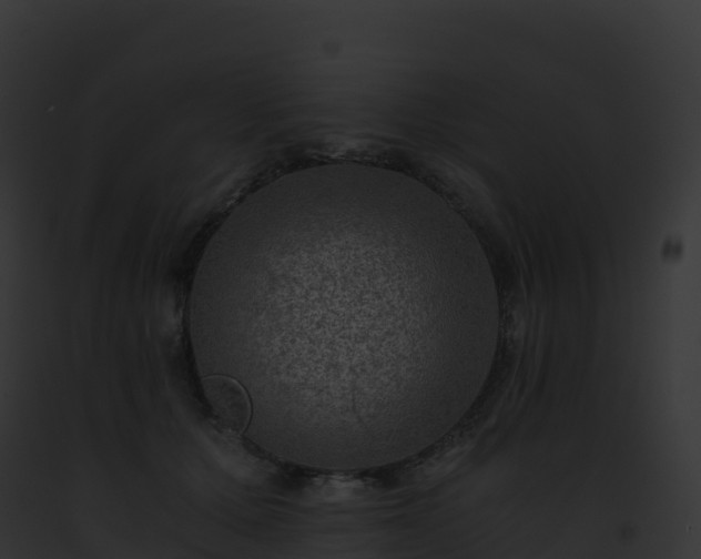 X0000093100607200710031501