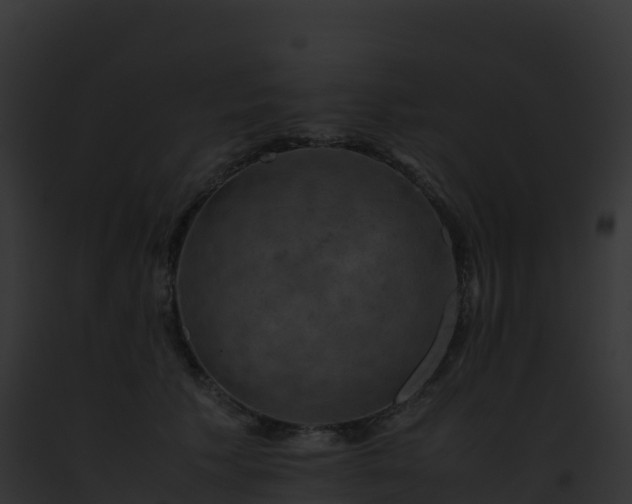 X0000093100609200710031500