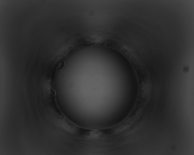 X0000093100612200710031500