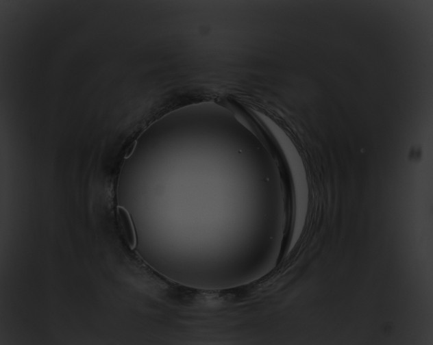 X0000093100613200710031500
