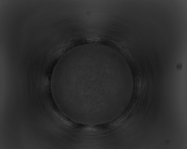 X0000093100614200710031500