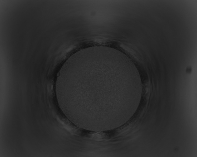 X0000093100615200710031500