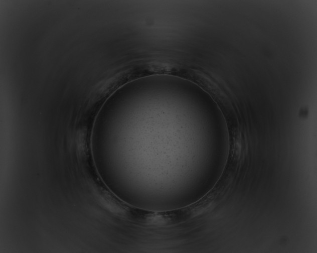 X0000093100616200710031500