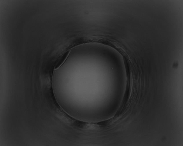 X0000093100617200710031500