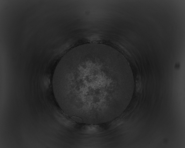X0000093100618200710031500