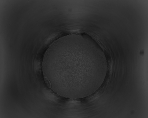X0000093100619200710031500