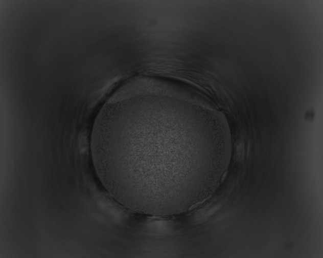 X0000093100620200710031500