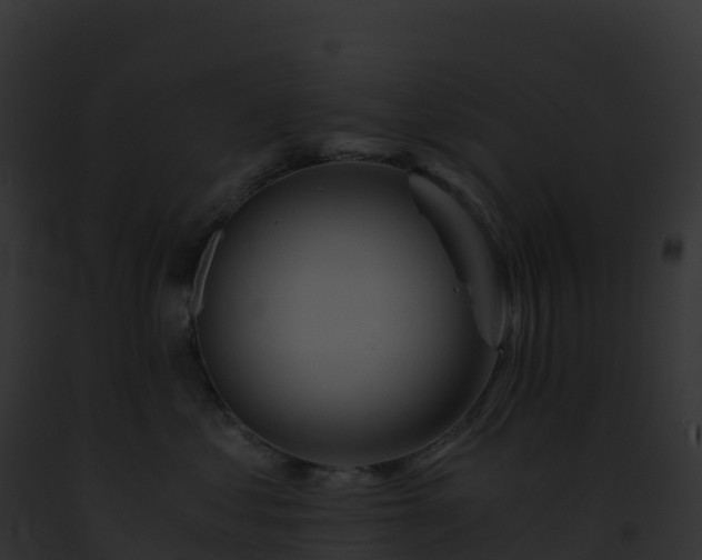X0000093100621200710031500
