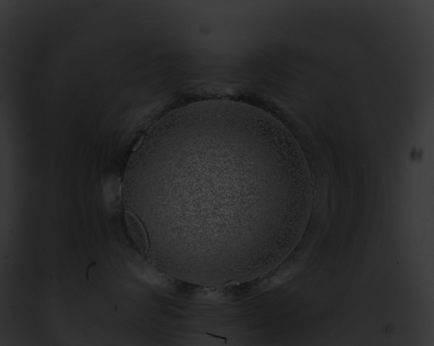 X0000093100624200710031500