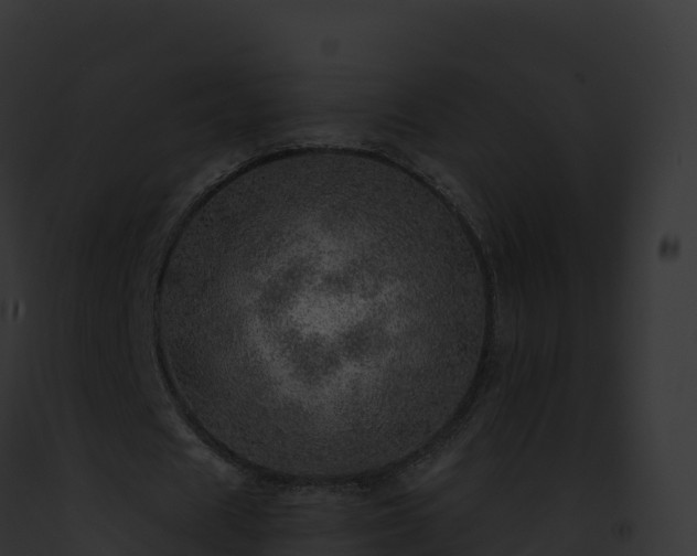 X0000093100625200710031500