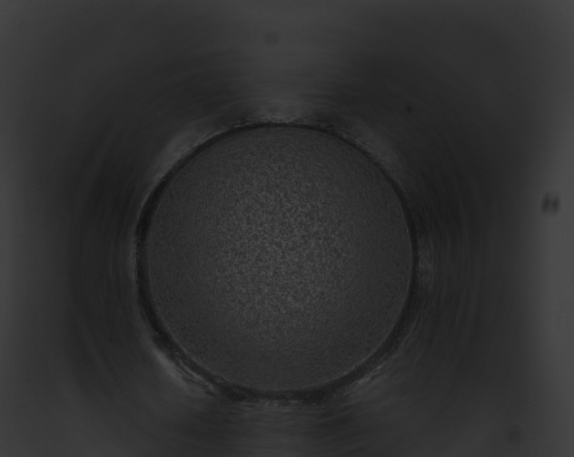 X0000093100626200710031500
