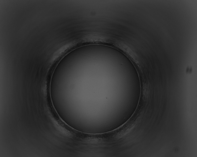 X0000093100629200710031500