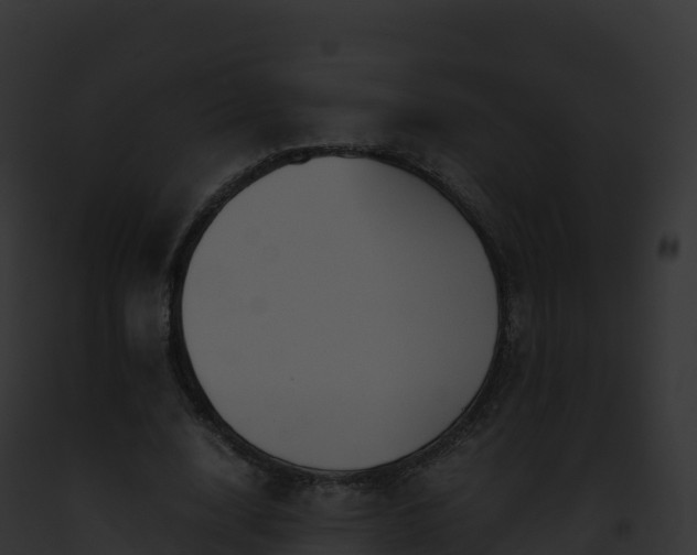 X0000093100632200710031500