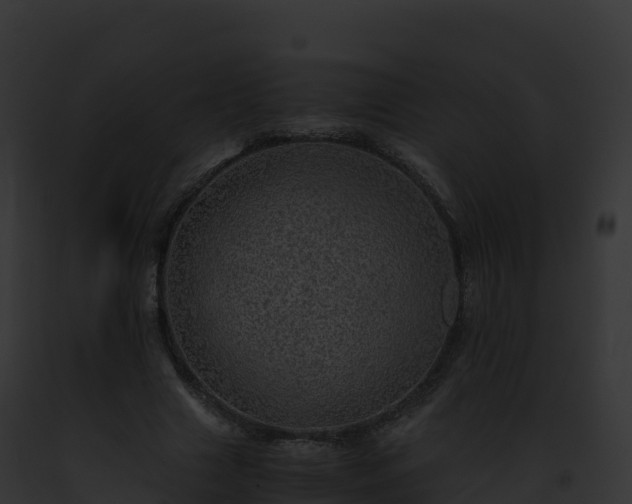X0000093100633200710031500