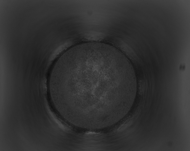 X0000093100634200710031500