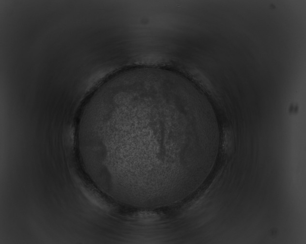 X0000093100636200710031500