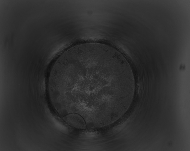 X0000093100638200710031500