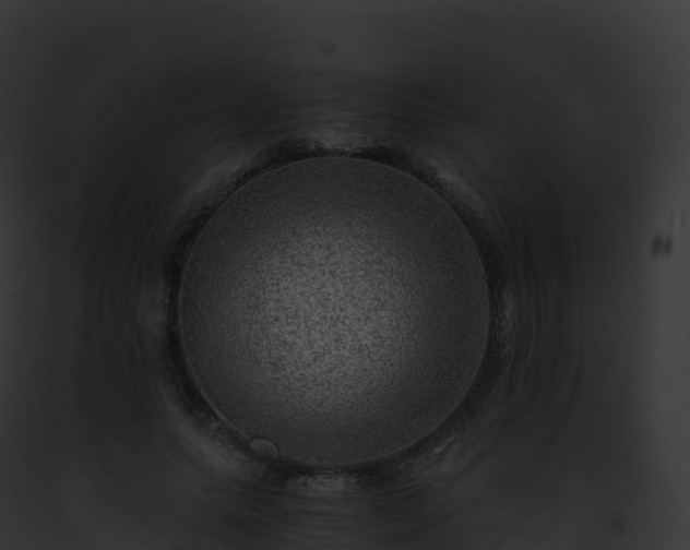 X0000093100639200710031500