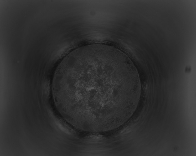 X0000093100642200710031500