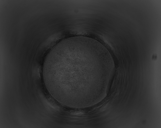 X0000093100643200710031500