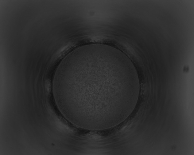 X0000093100648200710031500