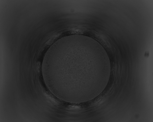 X0000093100649200710031500