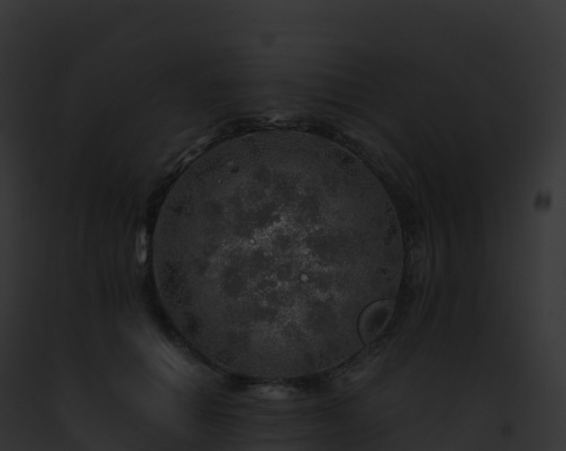X0000093100654200710031500
