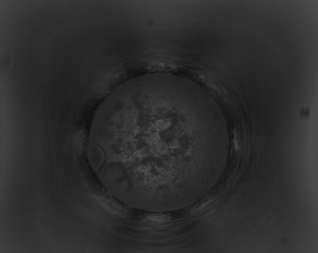 X0000093100659200710031500