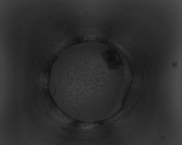 X0000093100661200710031500
