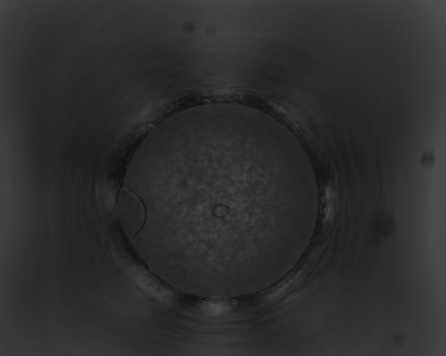 X0000093100662200710031500