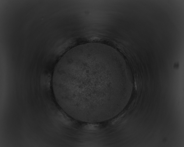 X0000093100664200710031500