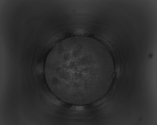 X0000093100665200710031500