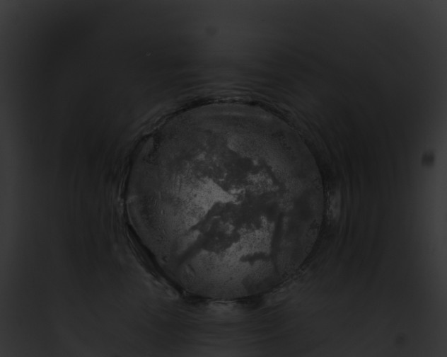 X0000093100666200710031500