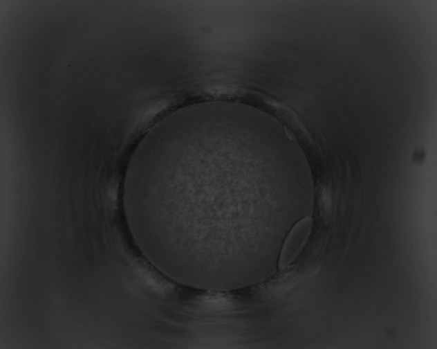 X0000093100668200710031500