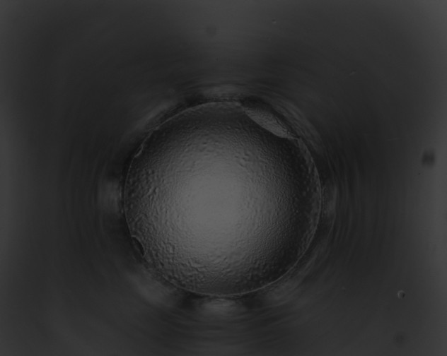 X0000093100669200710031500