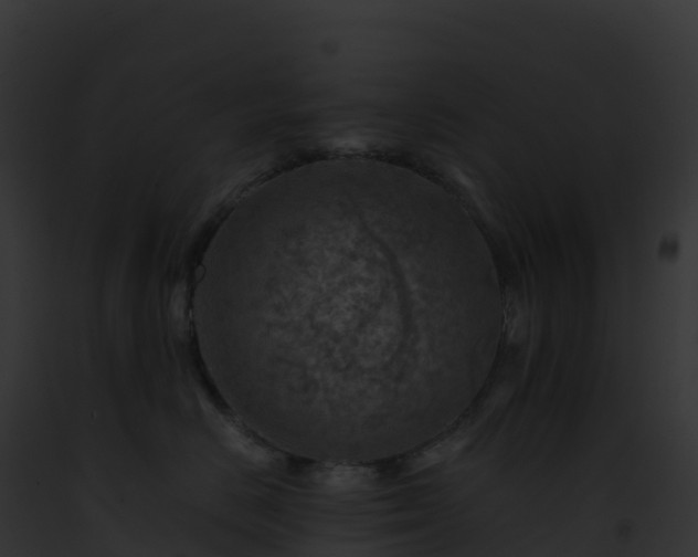 X0000093100670200710031500